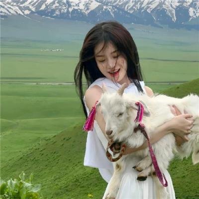 两只小猪之勇闯神秘岛